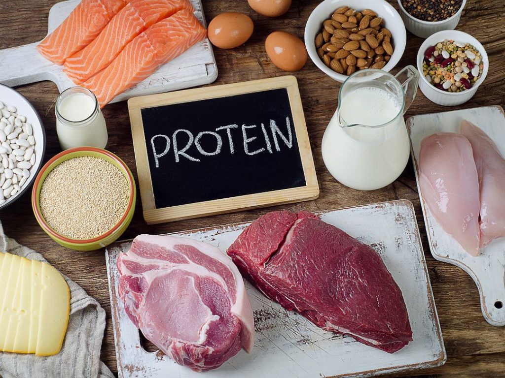 chế dộ dinh dưỡng đủ protein