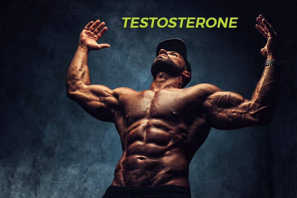testoterone thấp